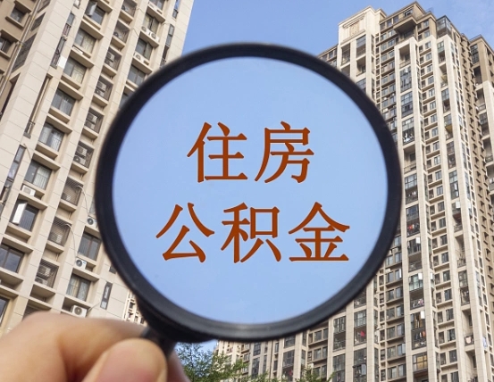 兰州退休后查不到公积金明细了吗（退休后公积金查询不到原因）
